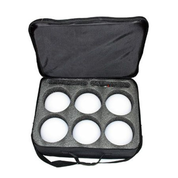 Nestle Scankugel-Set aus 6 Stück mit Magnetfuß in Tasche